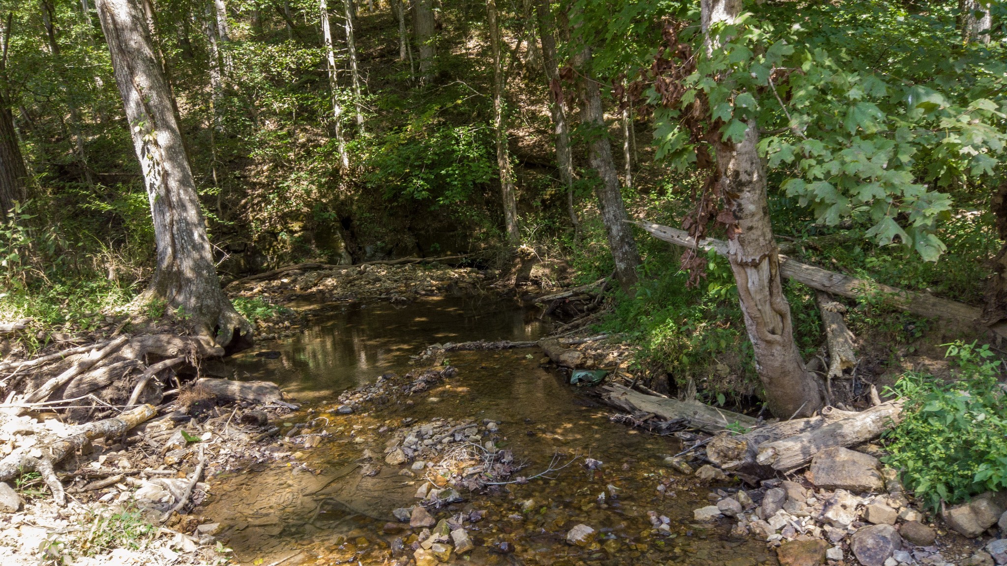 0 Scott Hollow Road Charlotte, TN 37036 - Photo 8 of 10 Gallery Image 8