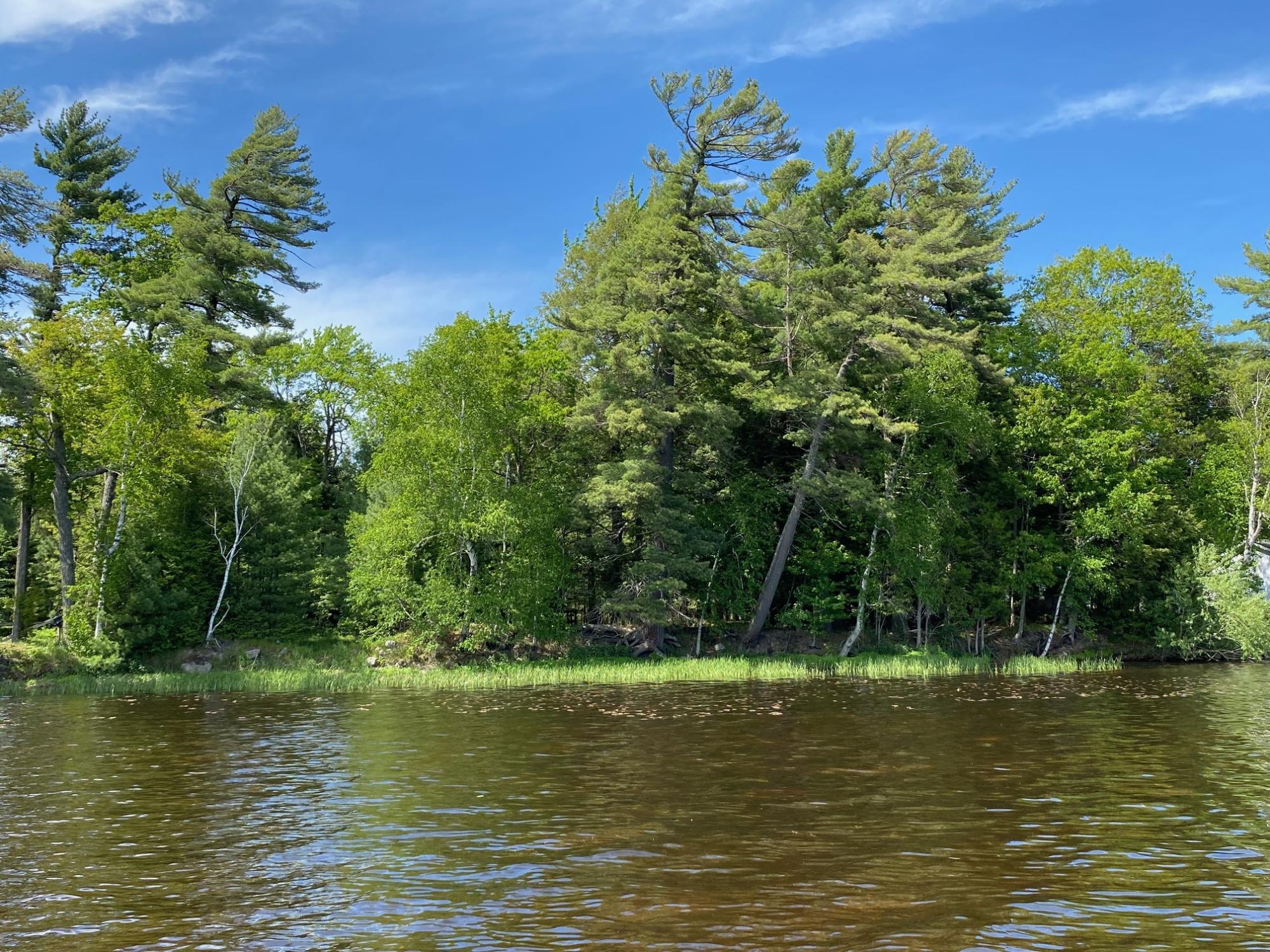 2597 Uncle Ben Road Pelican Lake, WI 54463 - Photo 22 of 31 Gallery Image 22