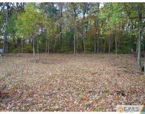 3 Fishel Road Edison, NJ 08820 - Photo 10 of 10 a view of outdoor space and garden