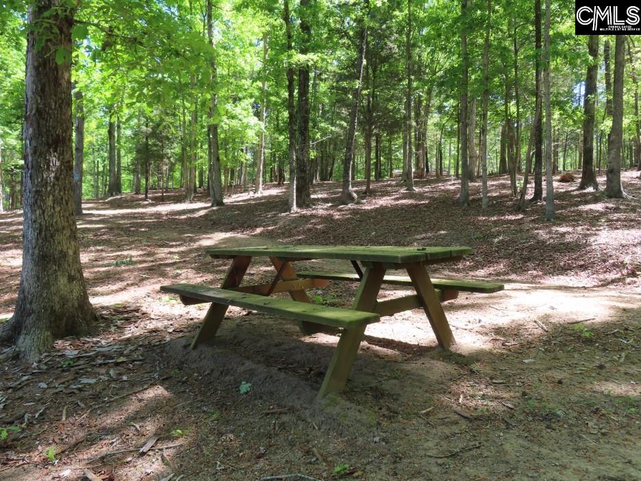 201 State Rd S-20-99 Blair, SC 29015 - Photo 23 of 61