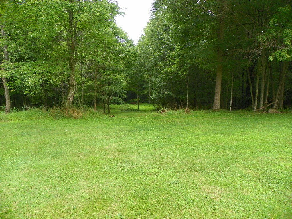1187 German Hill Road Tionesta, PA 16353 - Photo 6 of 21