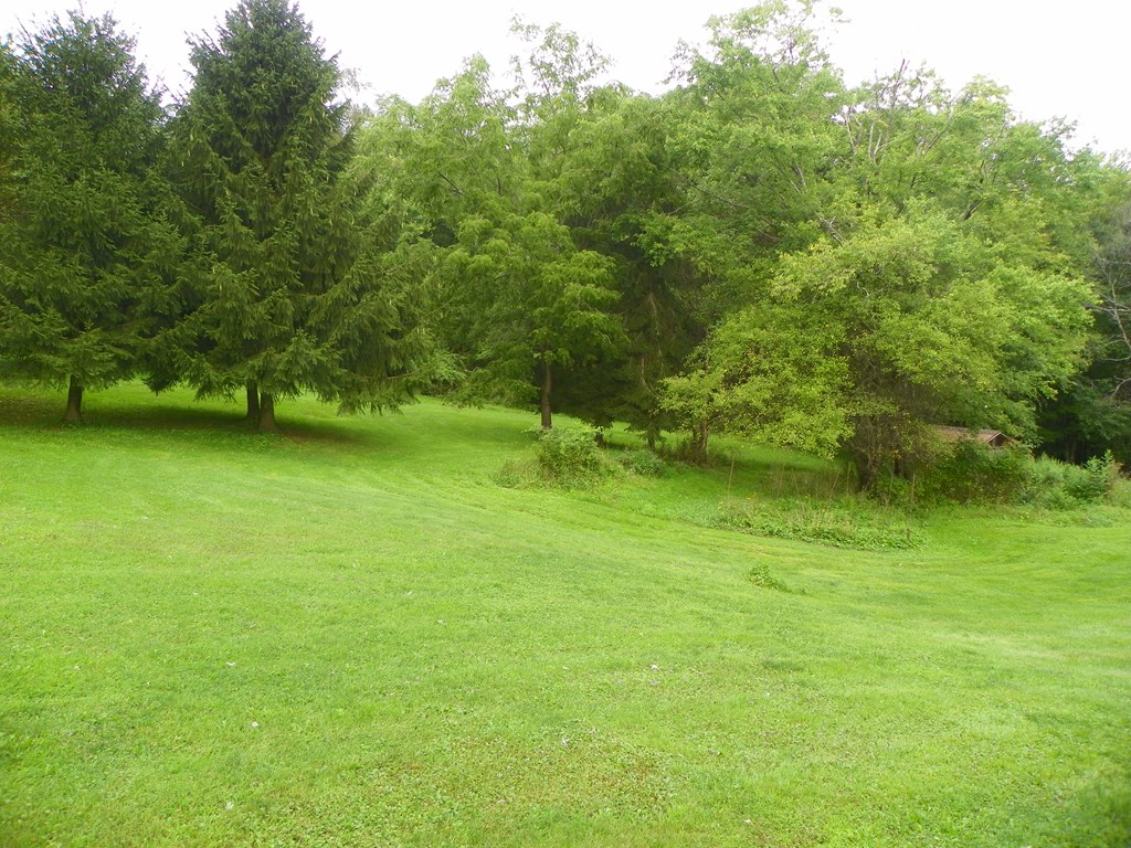 1187 German Hill Road Tionesta, PA 16353 - Photo 8 of 21