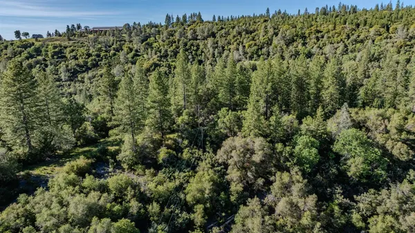 a view of a green field with lots of bushes