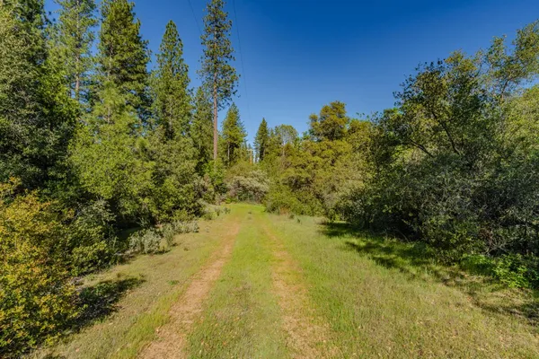 a view of a yard with a house in the background