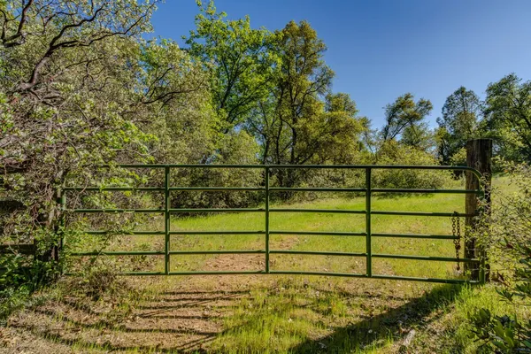 a view of a garden