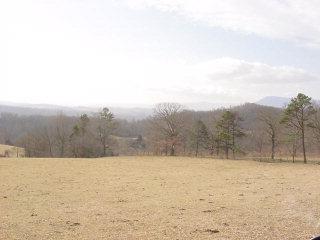 279 Rogers Road Ripplemead, VA 24150 - Photo 4 of 10 Acreage
