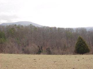 279 Rogers Road Ripplemead, VA 24150 - Photo 5 of 10 Acreage
