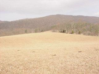 279 Rogers Road Ripplemead, VA 24150 - Photo 6 of 10 Acreage