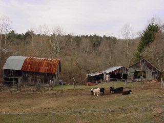 279 Rogers Road Ripplemead, VA 24150 - Photo 7 of 10 Barn