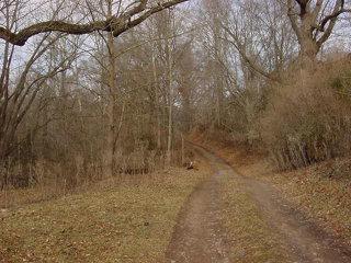 279 Rogers Road Ripplemead, VA 24150 - Photo 10 of 10 Driveway