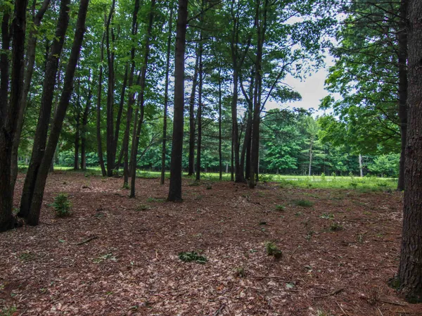 $114,900 | -unit 41 Trailside Drive, Thompsonville, MI 49683