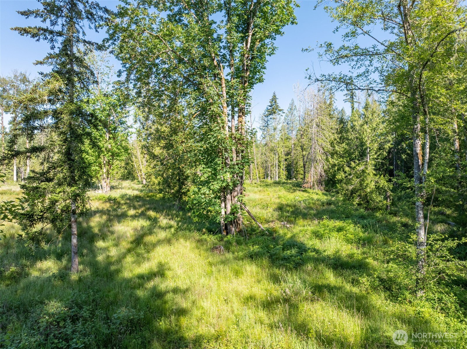 0 Chilvers Road Chehalis, WA 98532 - Photo 31 of 40