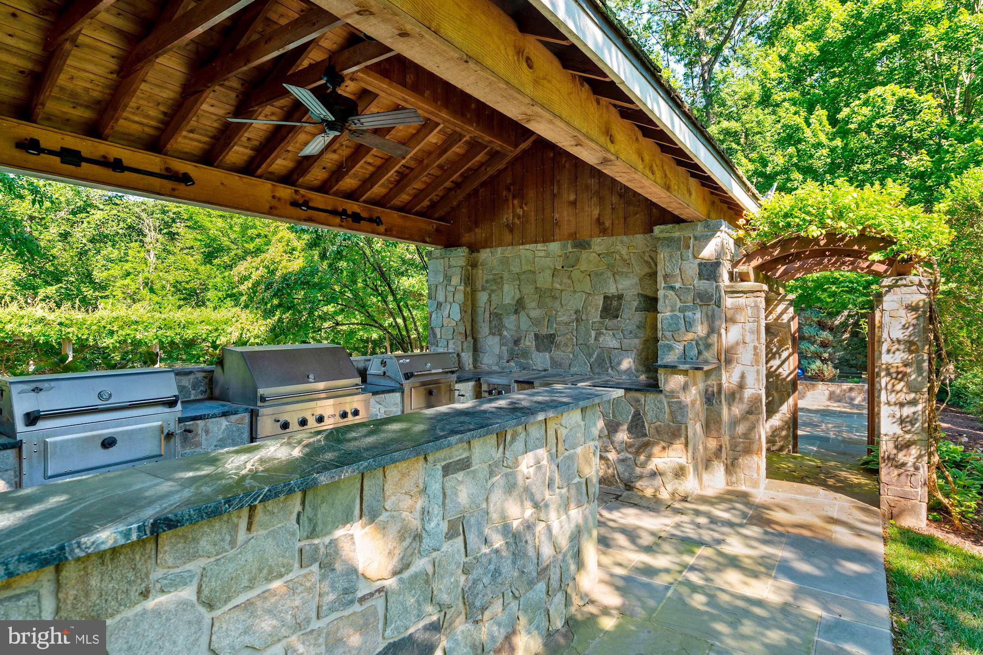 8548 A Georgetown Pike McLean, VA 22102 - Photo 38 of 49 Outdoor Kitchen