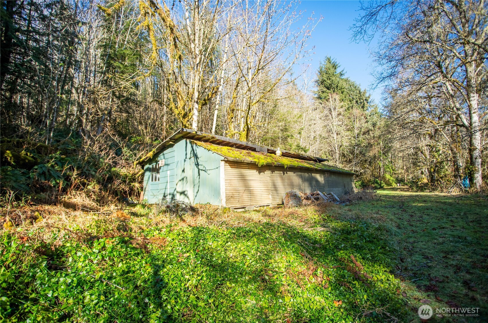 371 Pigeon Springs Road Onalaska, WA 98570 - Photo 27 of 39