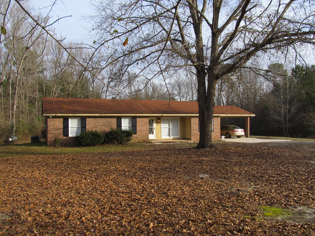 745 Ginn Road Ellerslie, GA 31807 - Photo 7 of 40 CENTER VIEW OF HOME