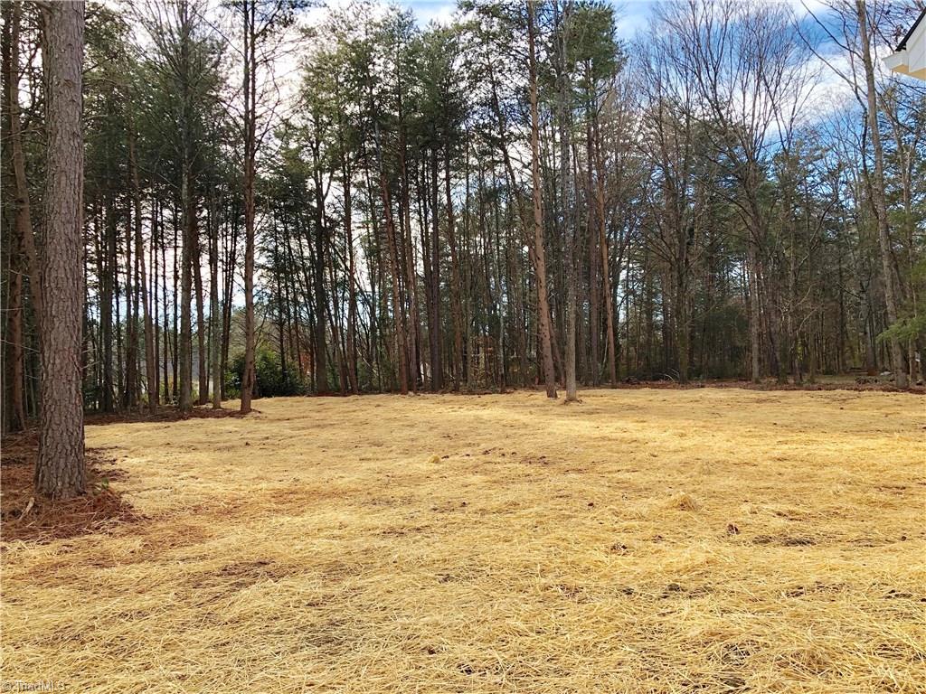 270 Deadmon Road Mocksville, NC 27028 - Photo 8 of 10 Gallery Image 8
