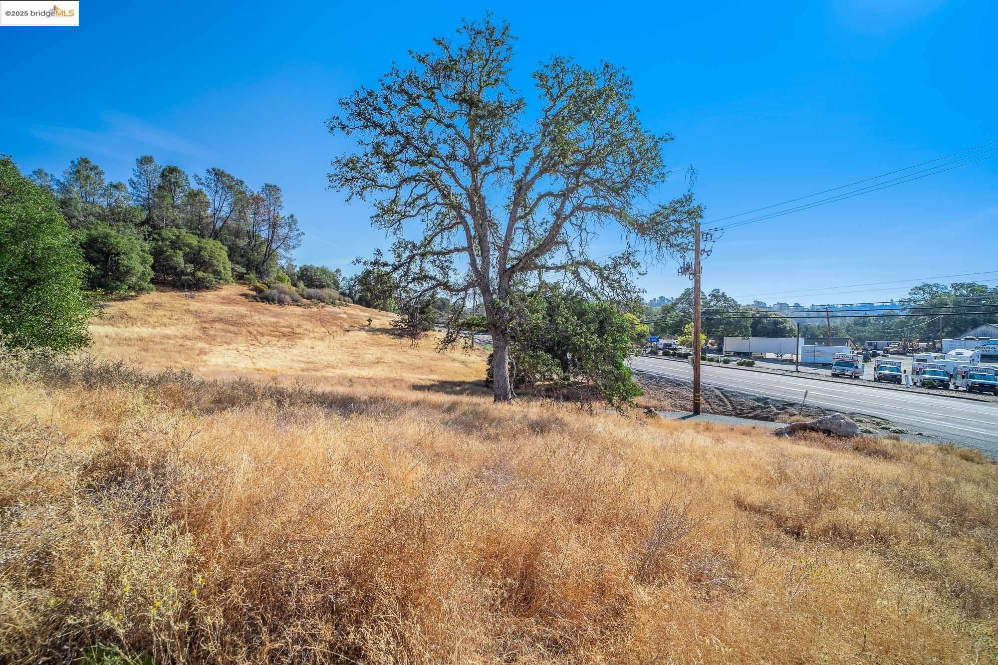 0 Sturgis Road Sonora, CA 95370 - Photo 11 of 18 a view of a yard with a tree