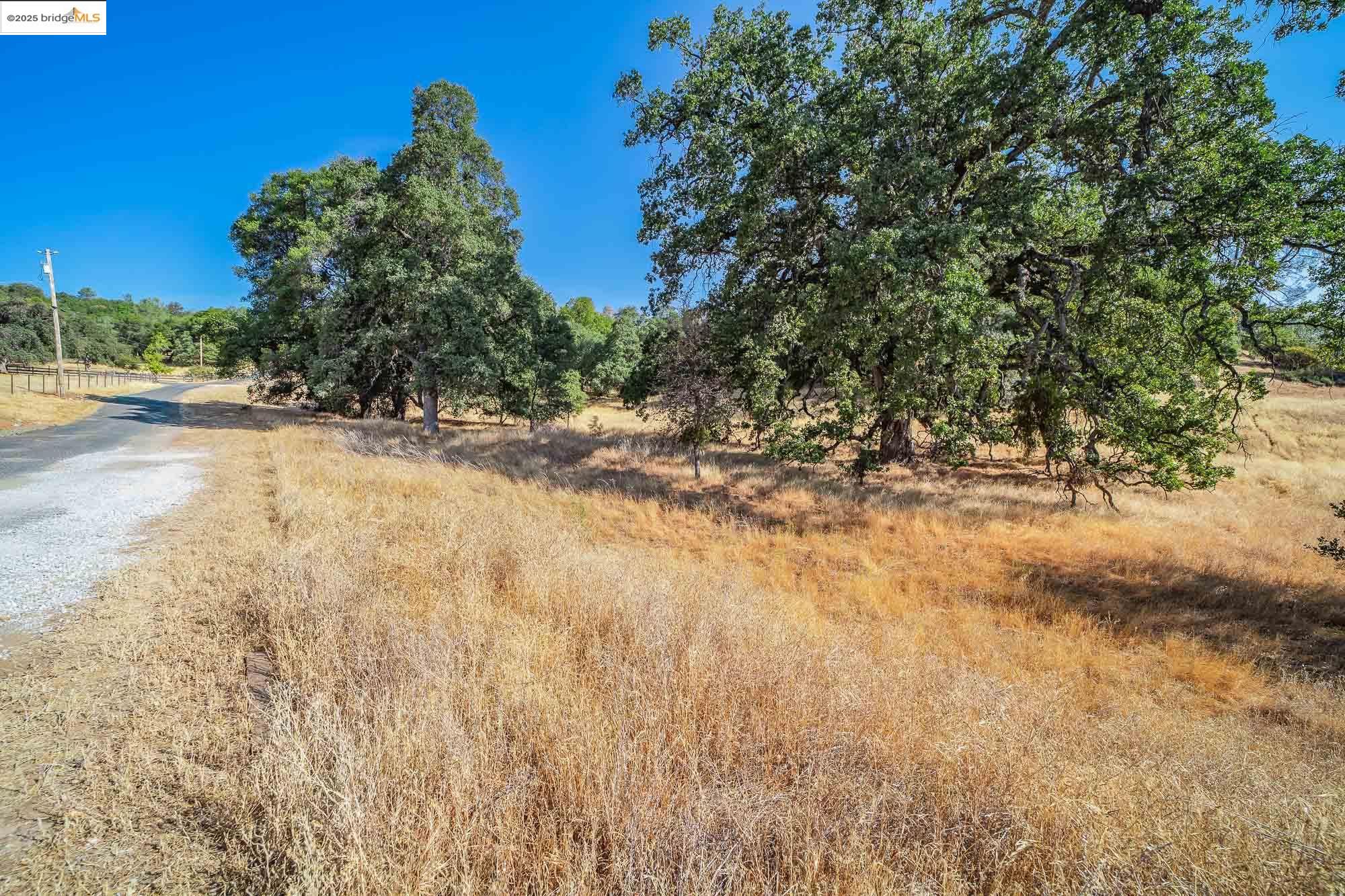 0 Sturgis Road Sonora, CA 95370 - Photo 12 of 18 a view of a yard with a tree