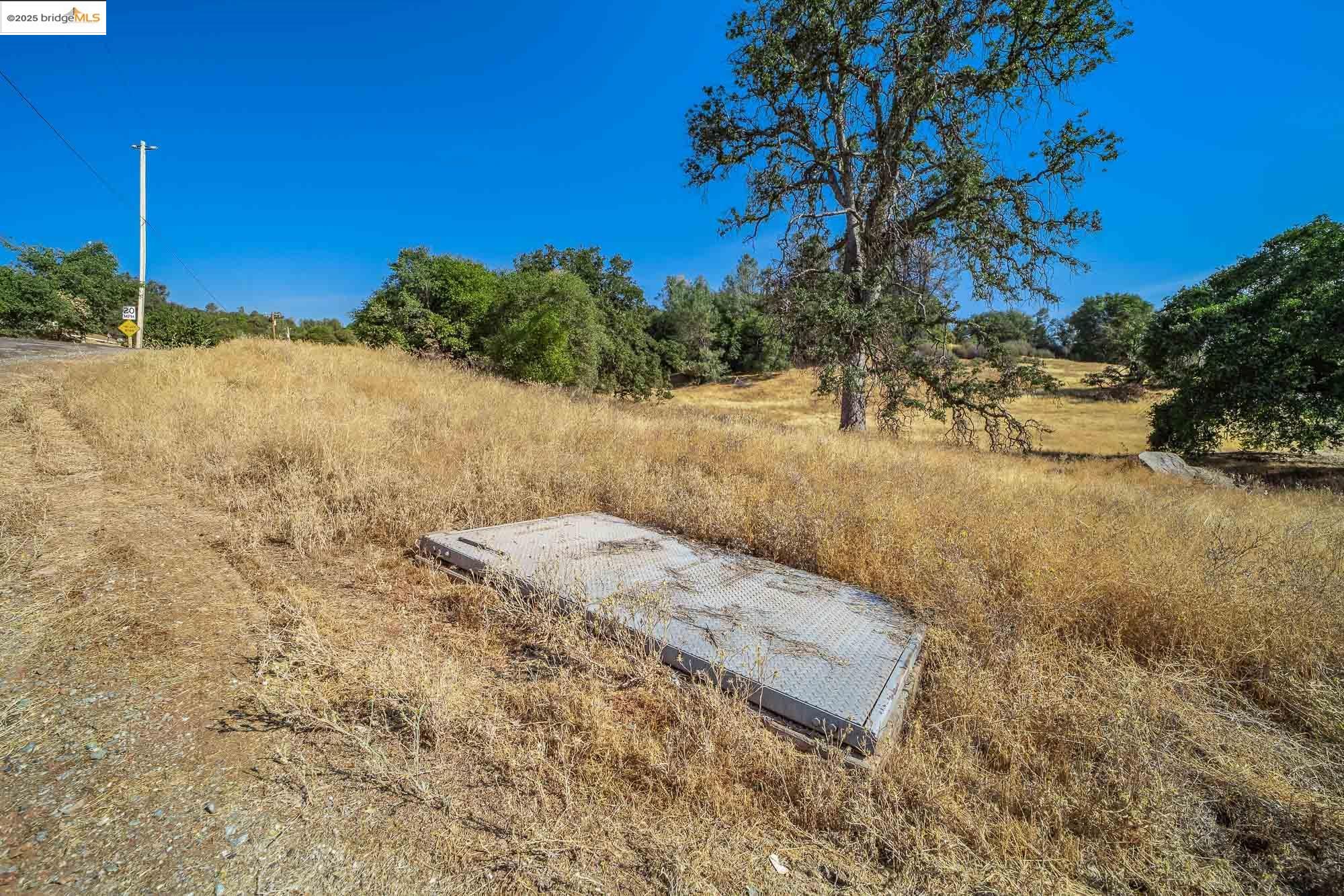 0 Sturgis Road Sonora, CA 95370 - Photo 16 of 18 a view of a yard with a tree
