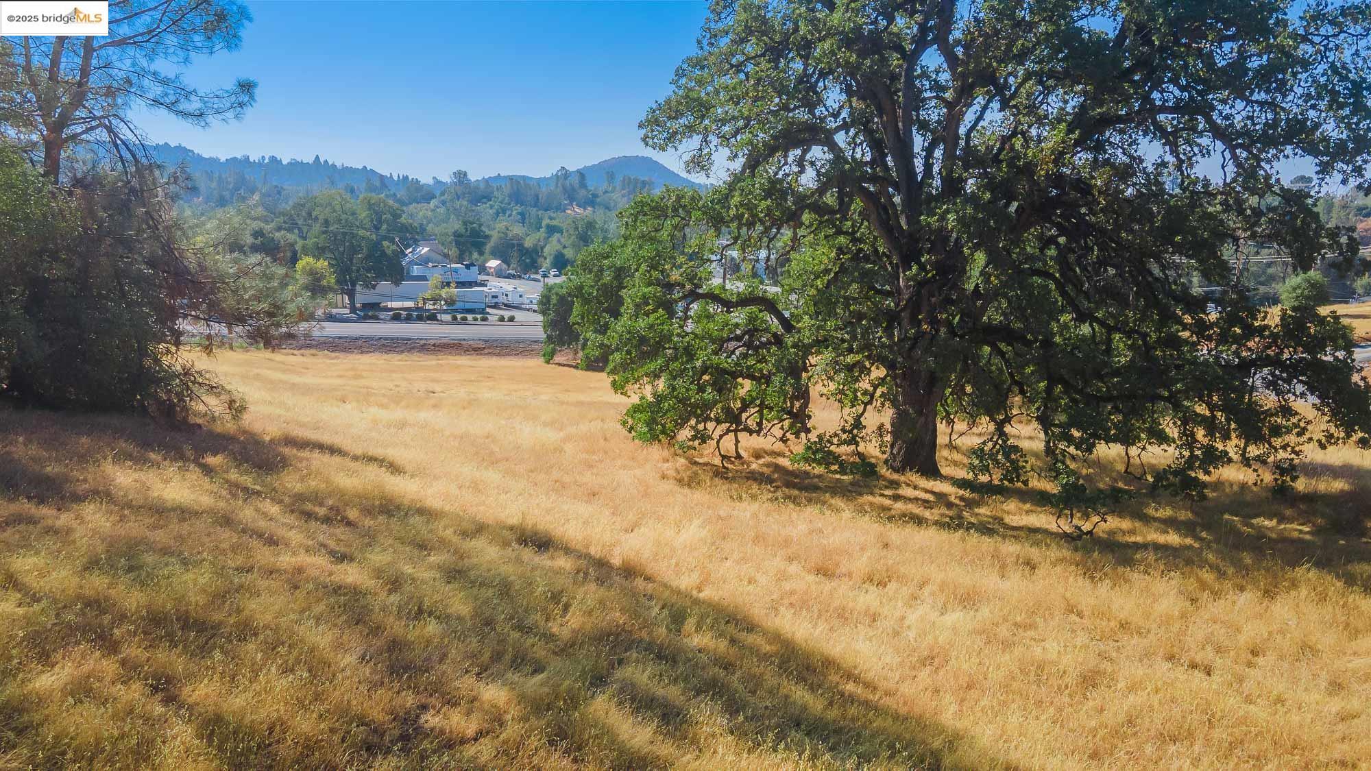 0 Sturgis Road Sonora, CA 95370 - Photo 5 of 18 a view of a yard with a tree