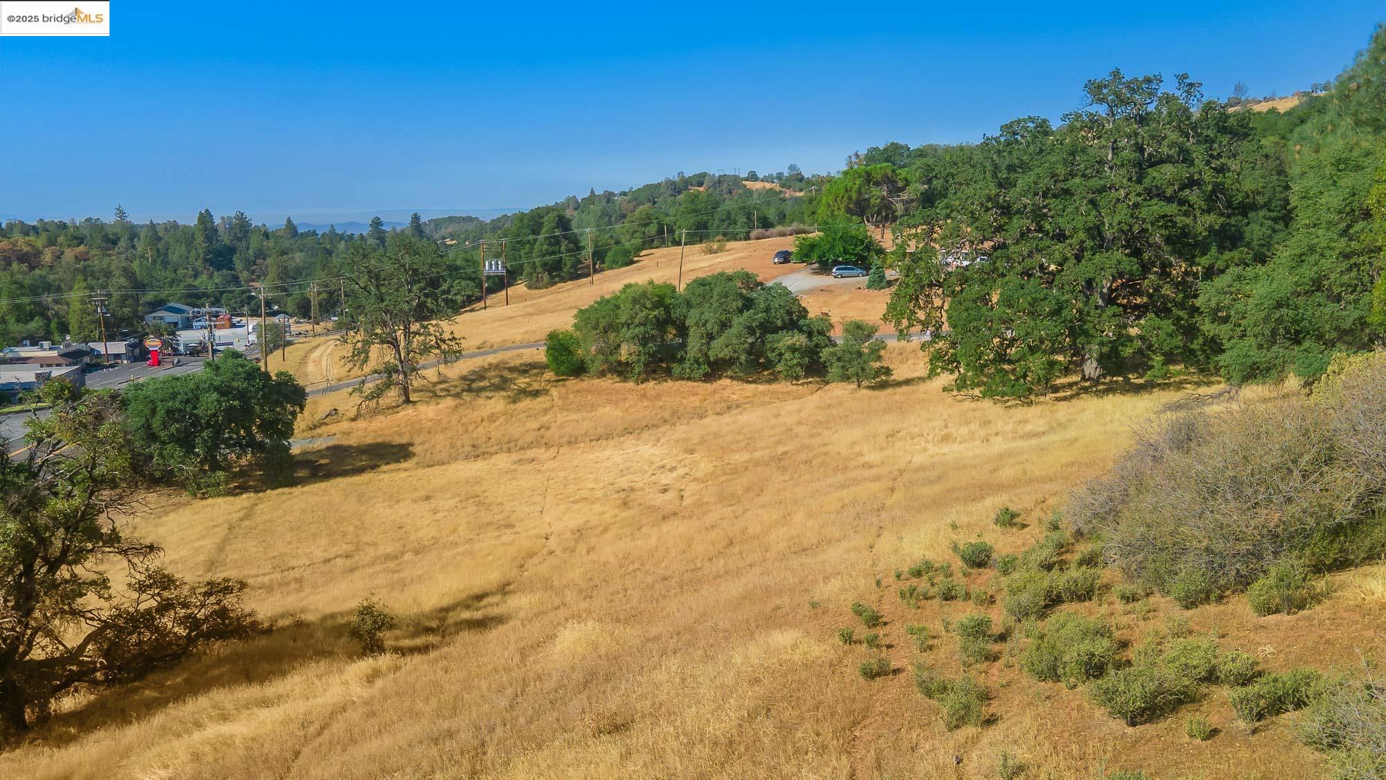 0 Sturgis Road Sonora, CA 95370 - Photo 6 of 18 a view of a yard with a tree