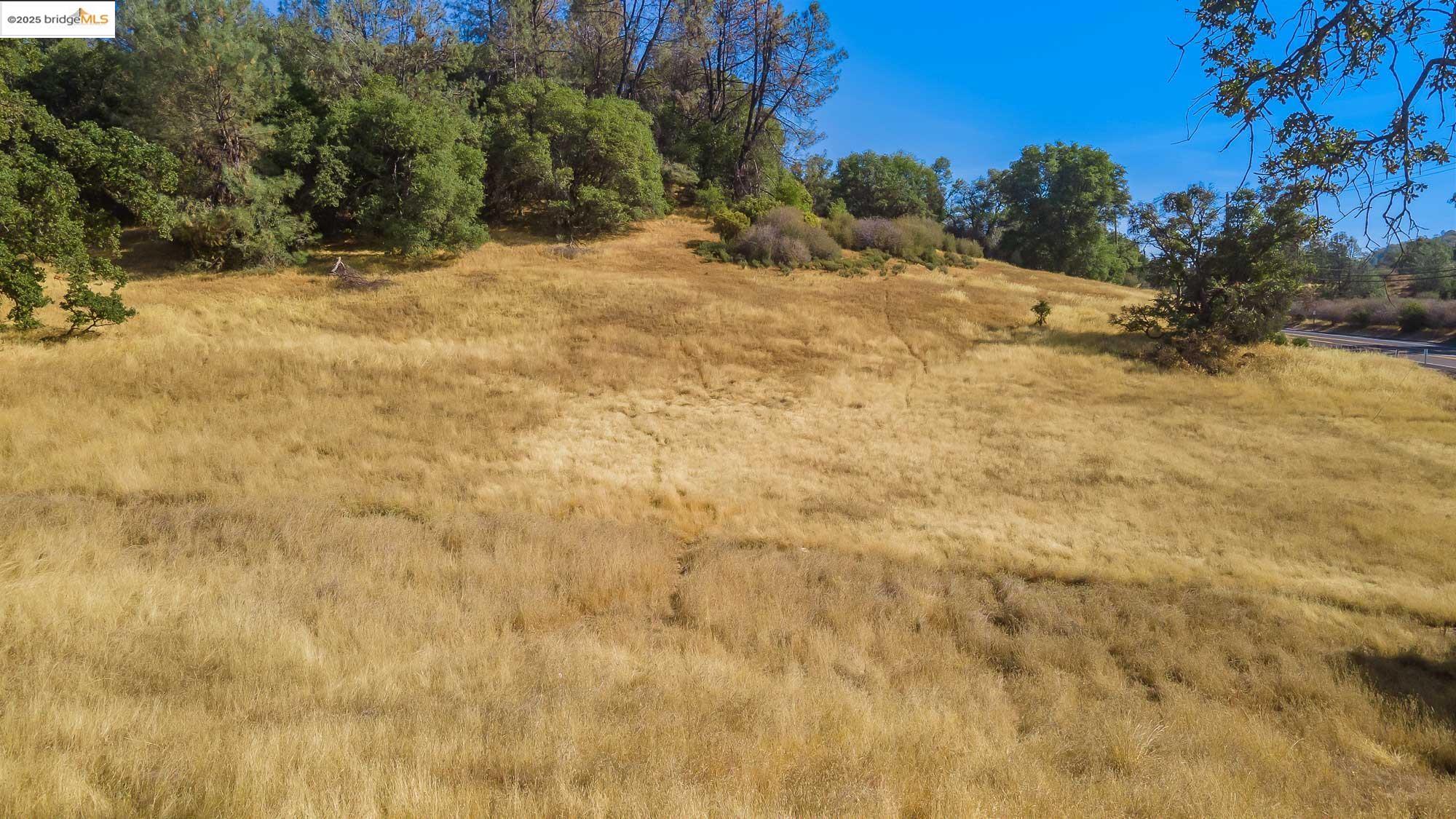 0 Sturgis Road Sonora, CA 95370 - Photo 9 of 18 a view of a yard with a tree