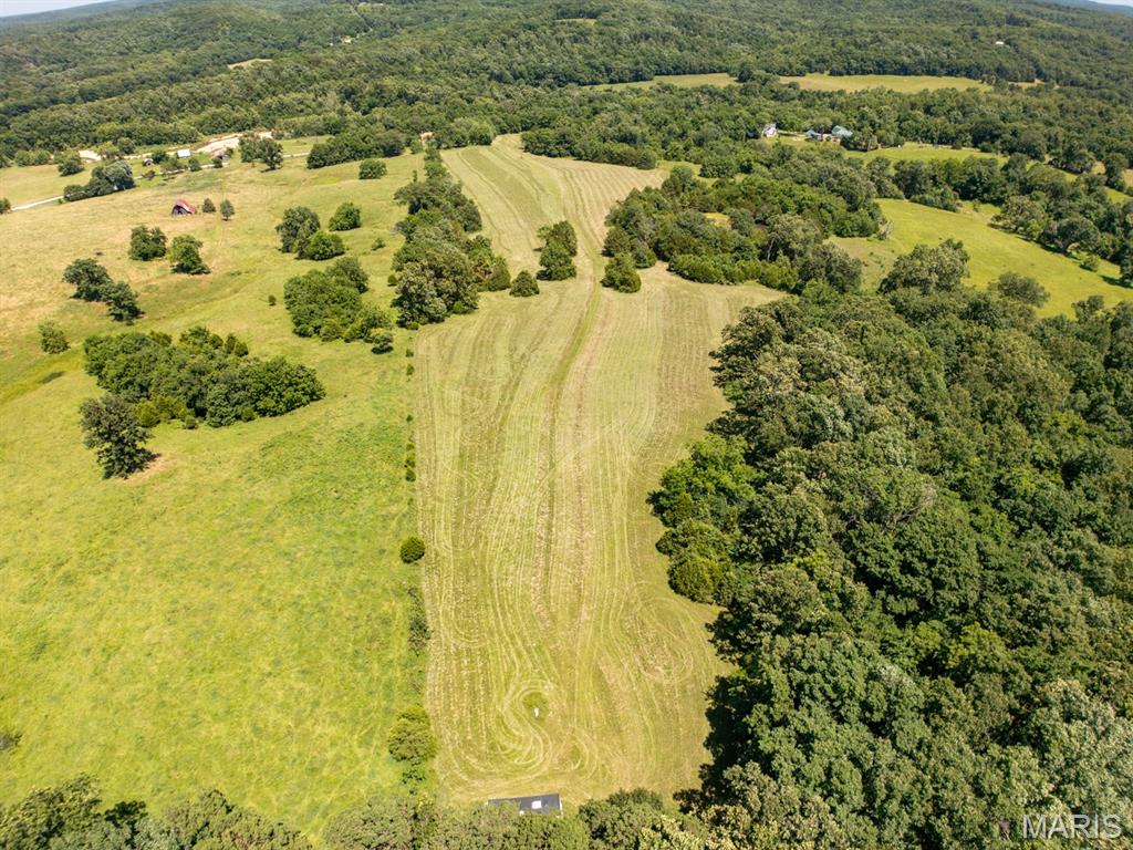 68 Dillard Mill Road Davisville, MO 65456 - Photo 57 of 64
