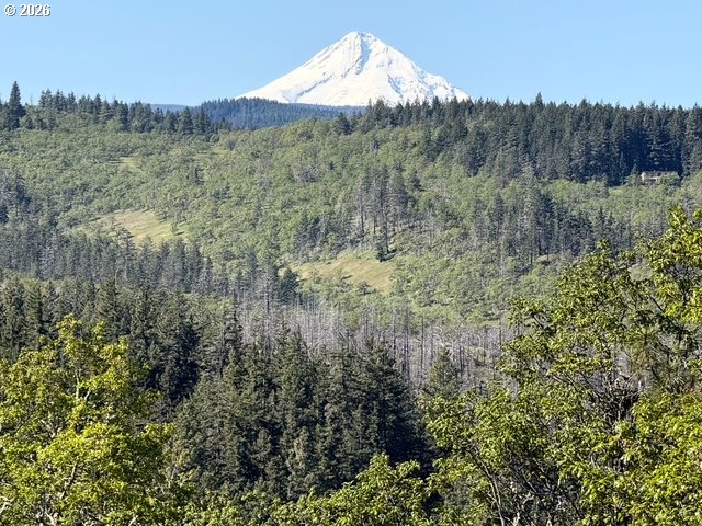 2215 Pine Oak Road Mosier, OR 97040 - Photo 4 of 46 View