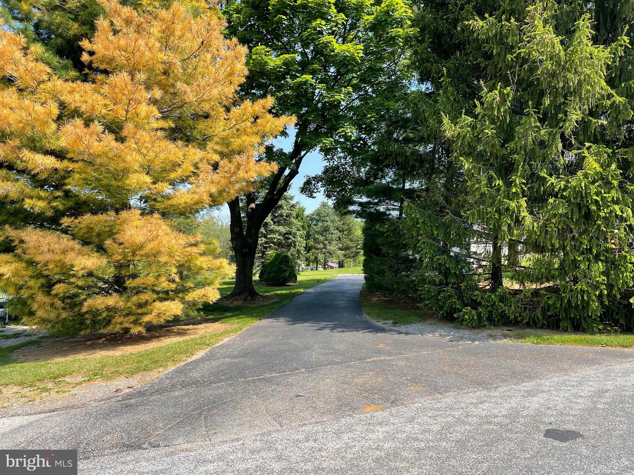 1411 Sweitzer Road New Freedom, PA 17349 - Photo 11 of 60 Gallery Image 11