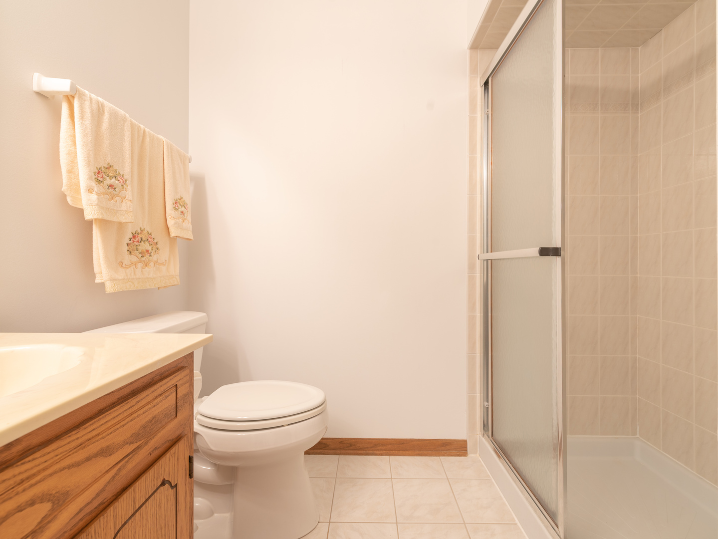 17841 Maine Court Orland Park, IL 60467 - Photo 26 of 29 a bathroom with a toilet and a shower