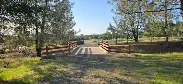 a view of a park with large trees