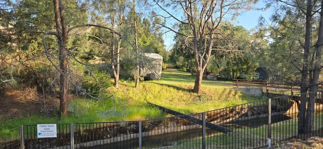 a view of a backyard
