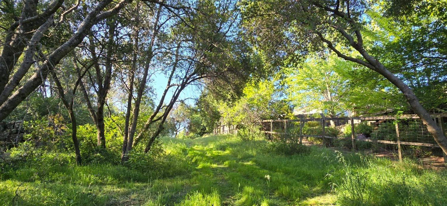 0 2059 Bell Road Auburn, CA 95603 - Photo 18 of 40 a big yard with lots of green space and plants