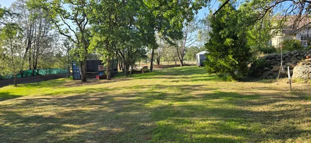 a view of a trees in a yard