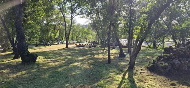 a view of a green field