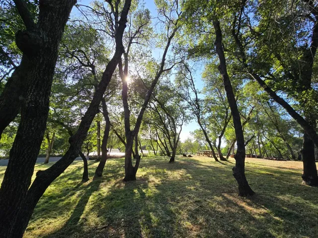 a view of outdoor space with trees