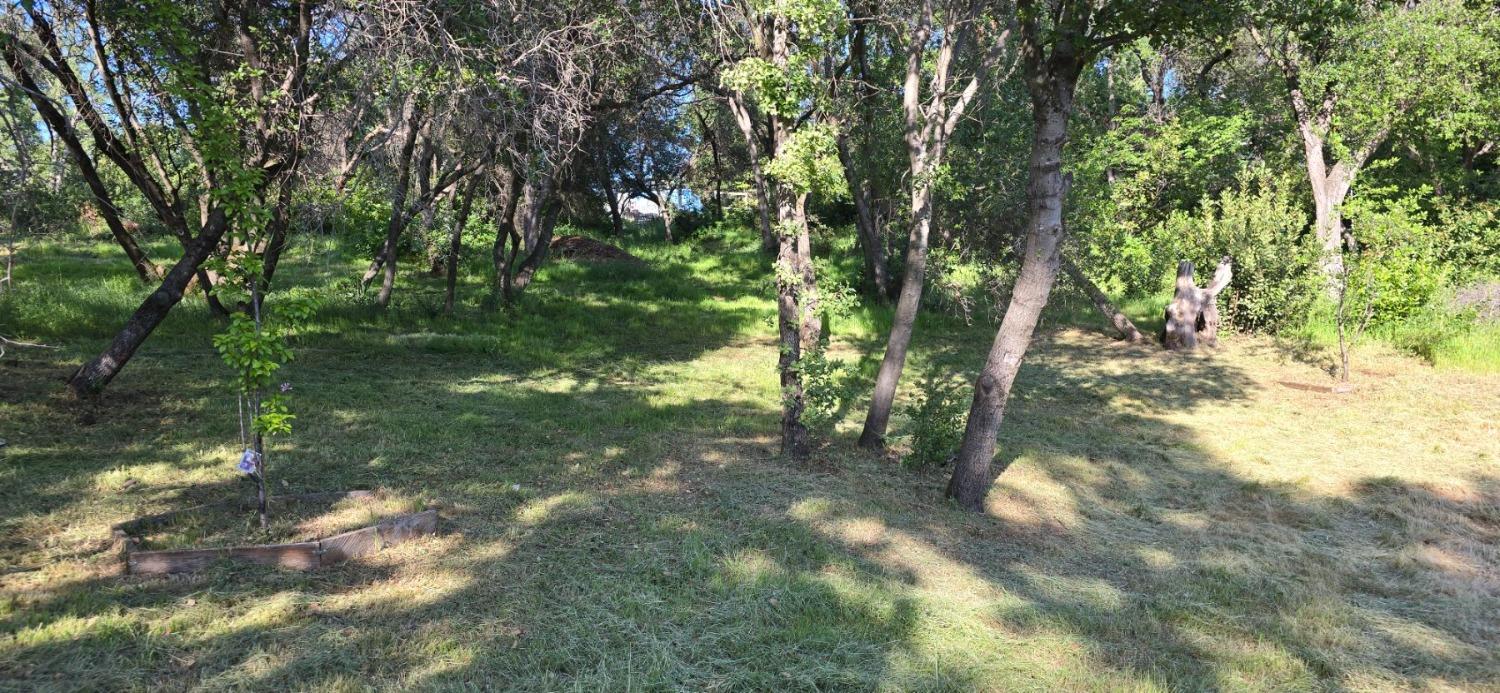 0 2059 Bell Road Auburn, CA 95603 - Photo 33 of 40