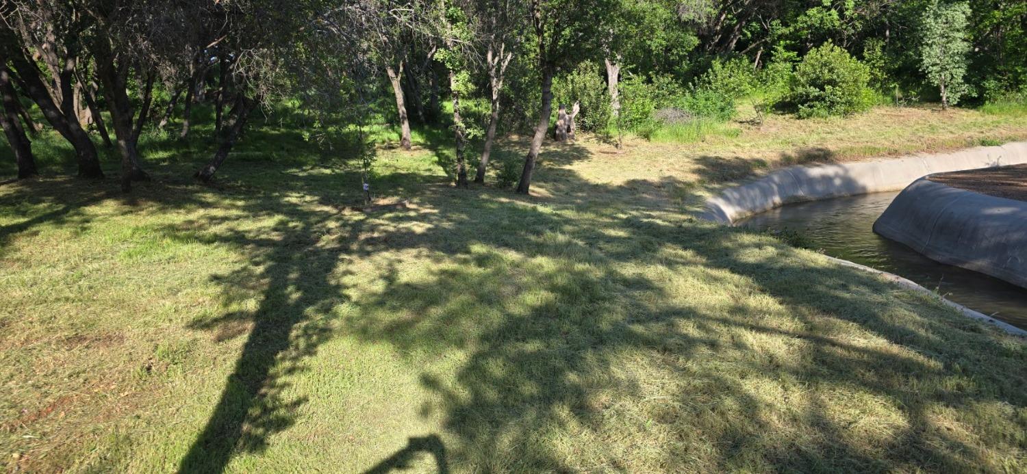 0 2059 Bell Road Auburn, CA 95603 - Photo 34 of 40 a backyard of a house with a yard and large trees