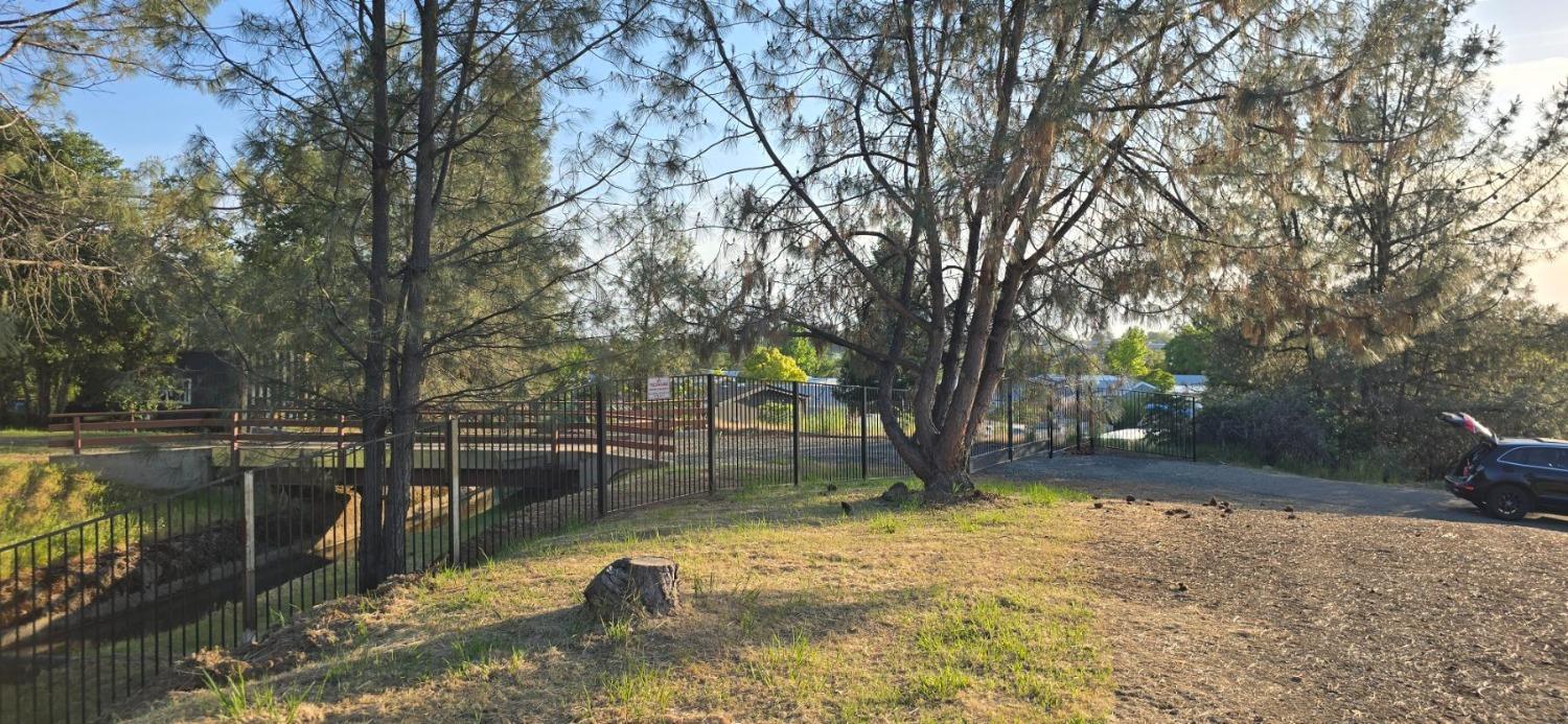 0 2059 Bell Road Auburn, CA 95603 - Photo 5 of 40 a backyard of a house with lots of green space