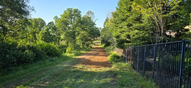 a view of a swimming pool with a patio and backyard
