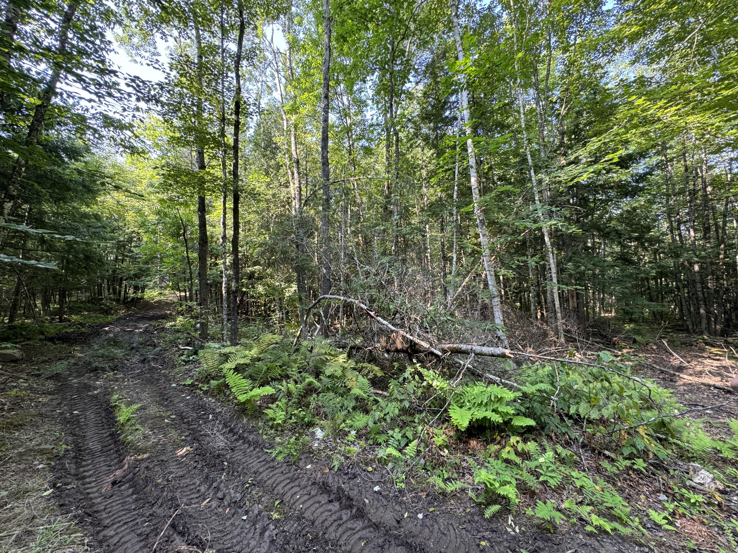 Lot 6-1 Lot Road Levant, ME 04456 - Photo 3 of 16 Started Driveway