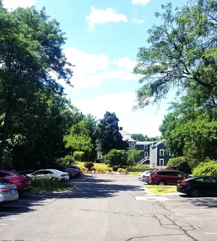 a view of a garden with an outdoor space