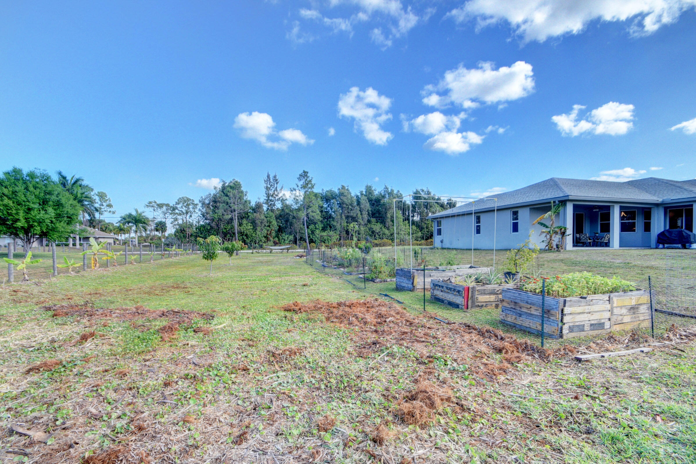 16138 93rd Road North Loxahatchee, FL 33470 - Photo 49 of 61 Backyard