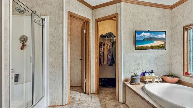a white toilet sitting next to a shower curtain