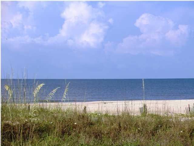1 McCosh Mill Road Port St. Joe, FL 32456 - Photo 3 of 8