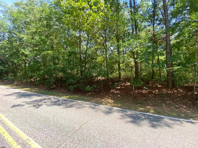a view of a yard with plants and trees