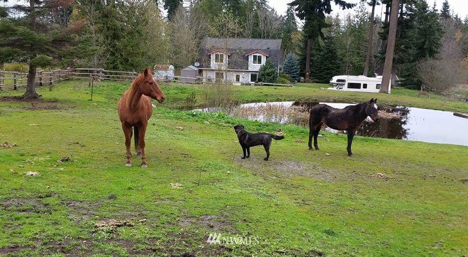 552 Brown Road Port Angeles, WA 98362 - Photo 1 of 8 Gallery Image 1