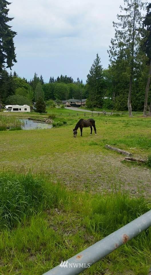 552 Brown Road Port Angeles, WA 98362 - Photo 3 of 8 Gallery Image 3