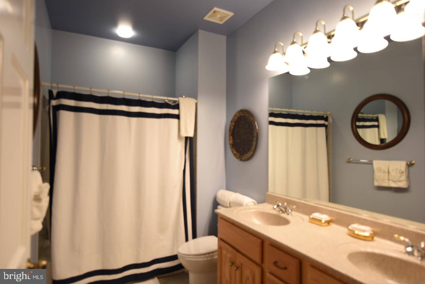 265 Grandview Road Washington, VA 22747 - Photo 19 of 30 Hall Full Bath