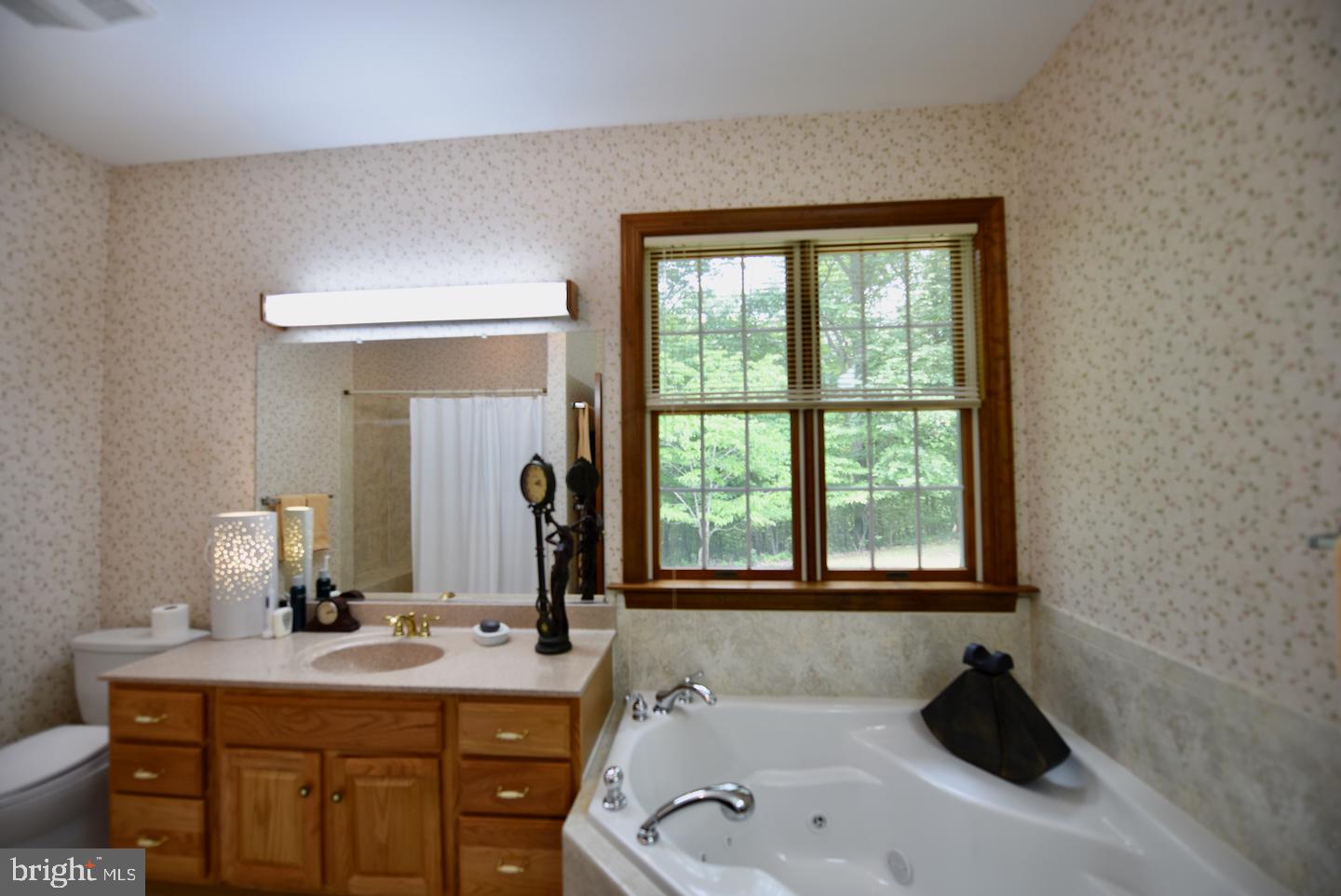 265 Grandview Road Washington, VA 22747 - Photo 21 of 30 Primary Bathroom